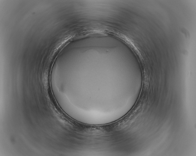 X0000115170386200911121744