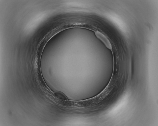 X0000115170387200911121744