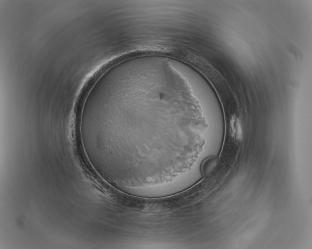 X0000115170388200911121744