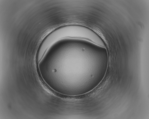 X0000115170389200911121744