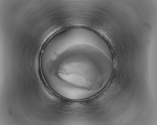 X0000115170390200911121744