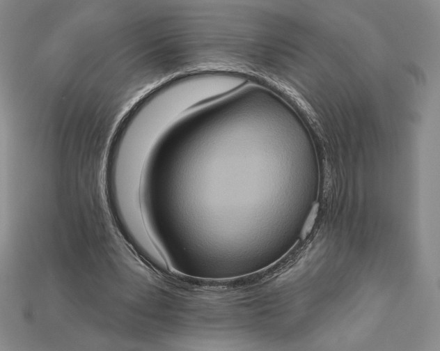 X0000115170391200911121744
