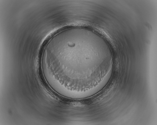 X0000115170392200911121744