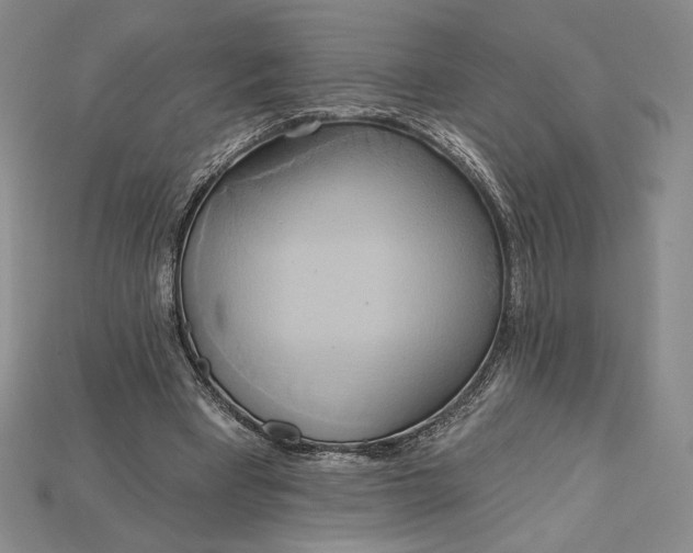 X0000115170393200911121744