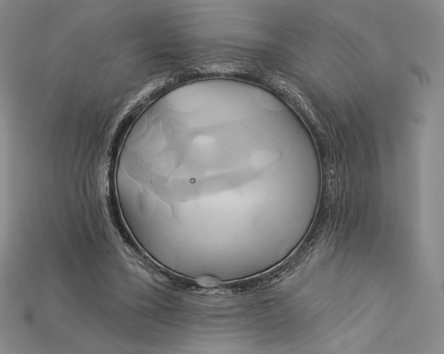 X0000115170395200911121744