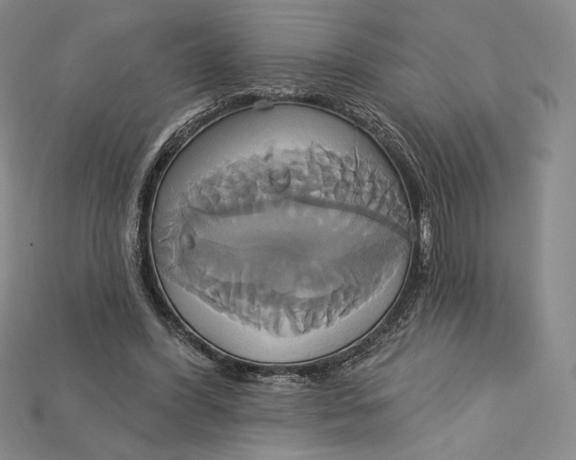 X0000115170396200911121744