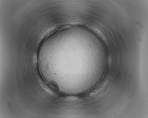 X0000115170397200911121744