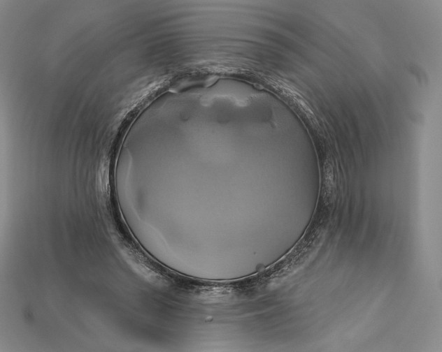 X0000115170398200911121744