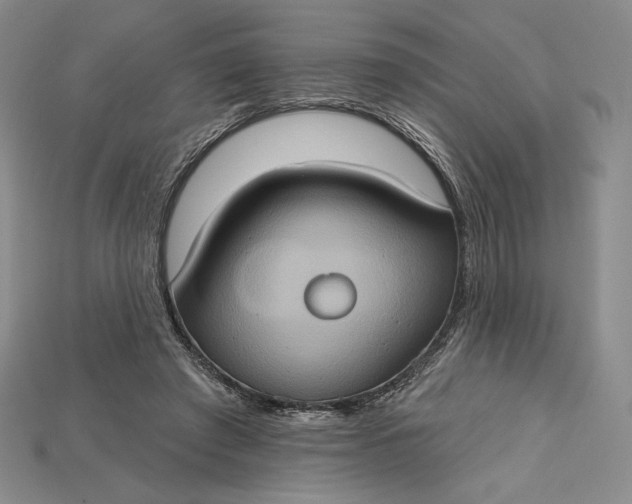 X0000115170401200911121744