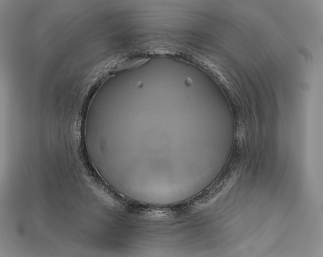 X0000115170402200911121744