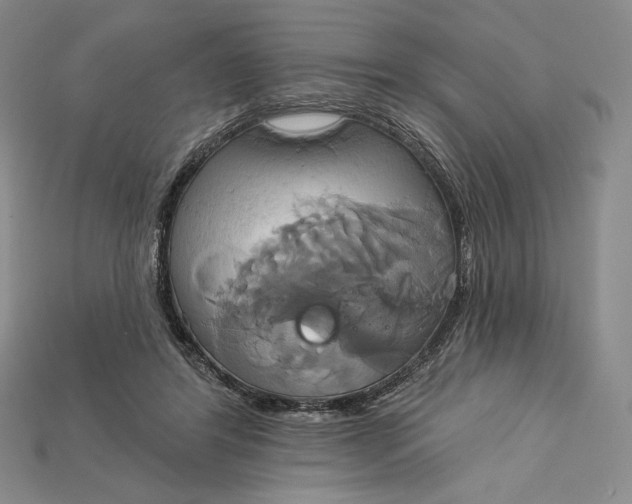 X0000115170404200911121744