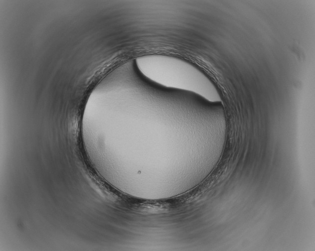 X0000115170405200911121744