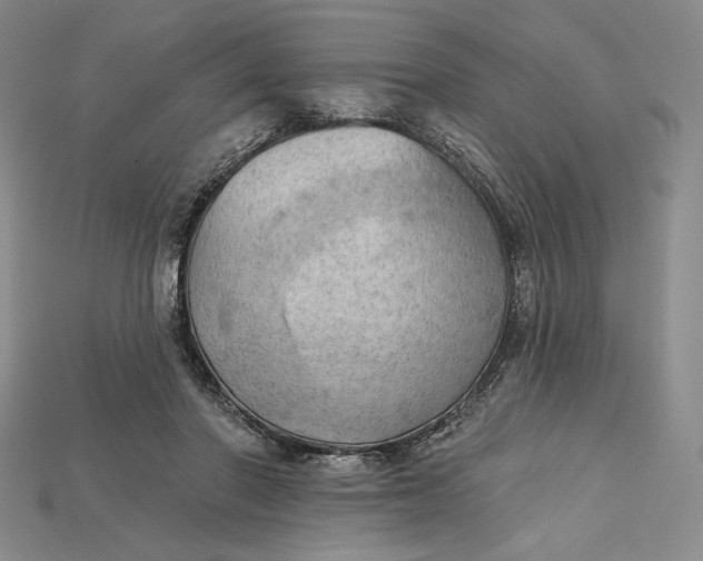 X0000115170406200911121744