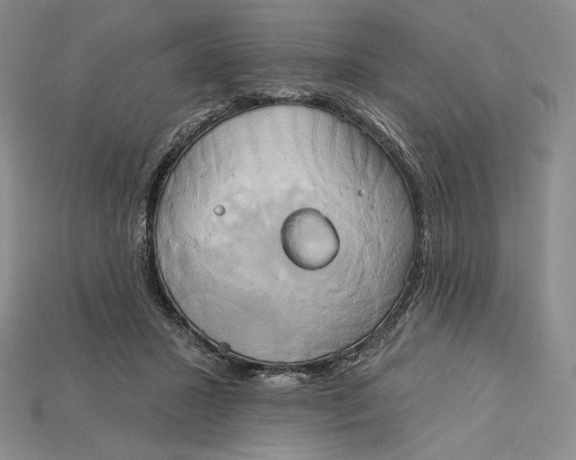 X0000115170407200911121744