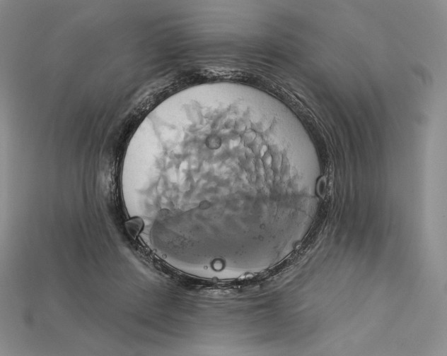 X0000115170408200911121744