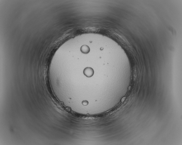 X0000115170409200911121744