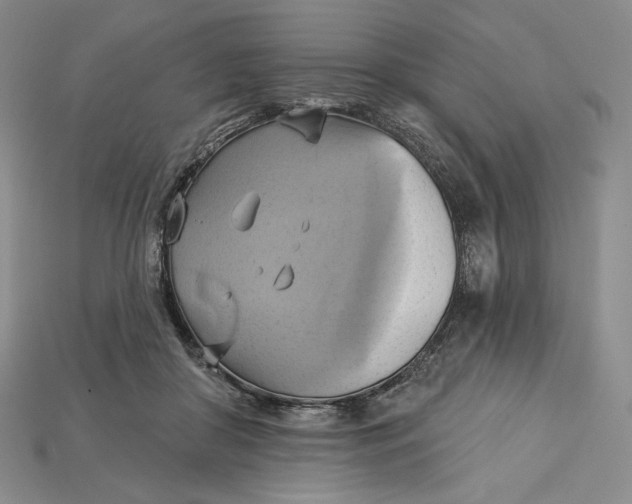 X0000115170410200911121744