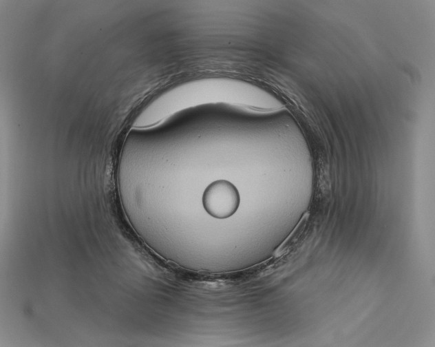 X0000115170411200911121744