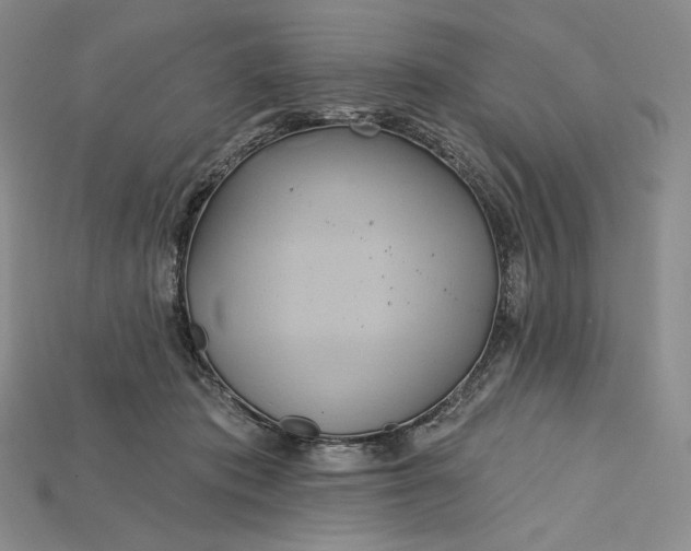 X0000115170413200911121744