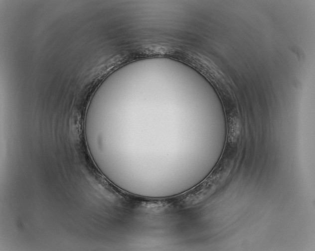 X0000115170414200911121744