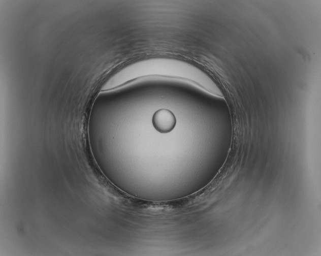 X0000115170415200911121744