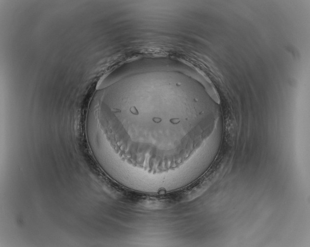X0000115170416200911121744