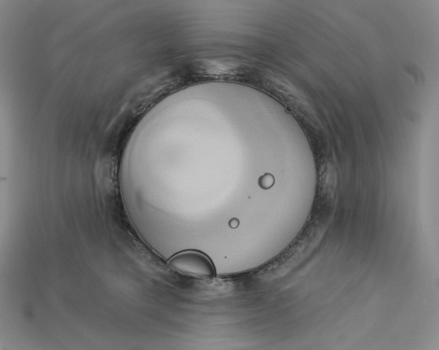 X0000115170421200911121744