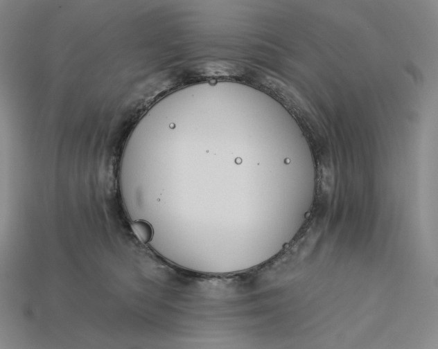X0000115170422200911121744