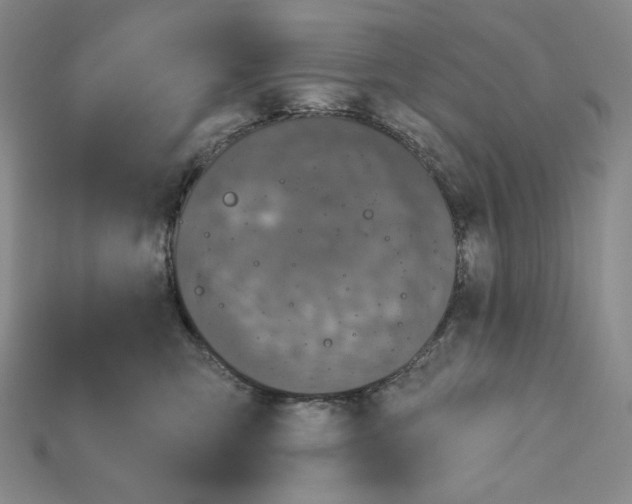 X0000115170423200911121744