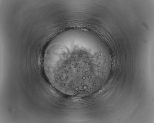 X0000115170424200911121744
