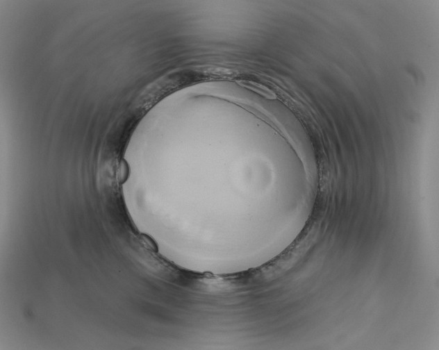 X0000115170425200911121744