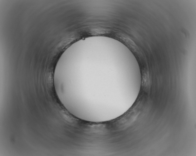X0000115170426200911121744