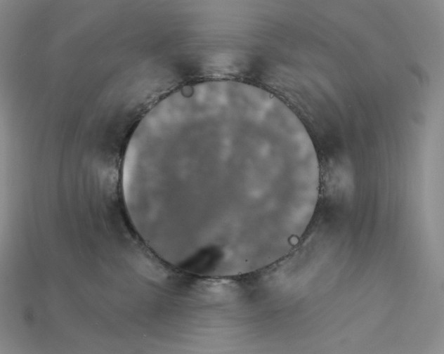 X0000115170427200911121744