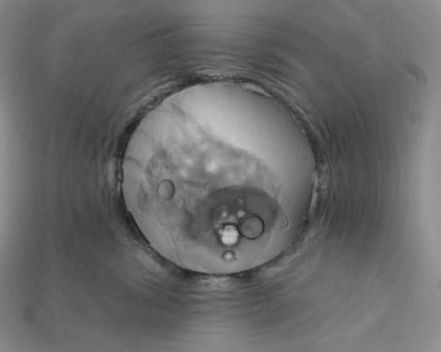 X0000115170428200911121744