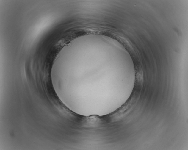 X0000115170429200911121744