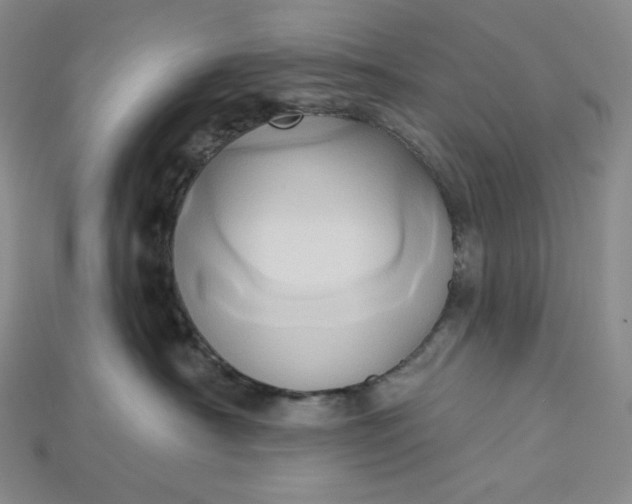 X0000115170430200911121744