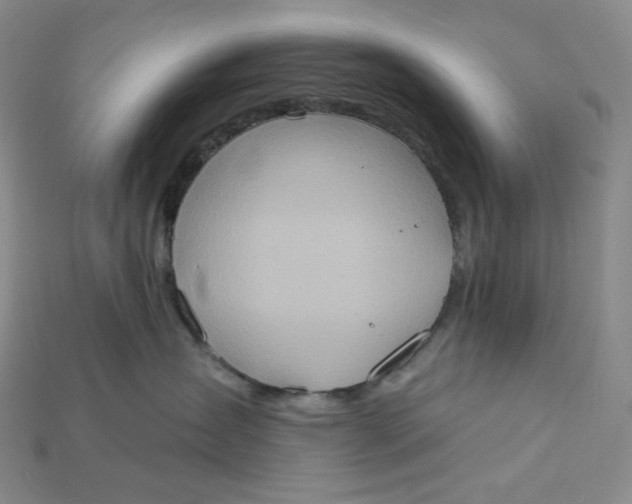 X0000115170431200911121744