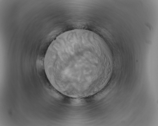 X0000115170432200911121743