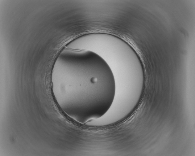 X0000115170433200911121743