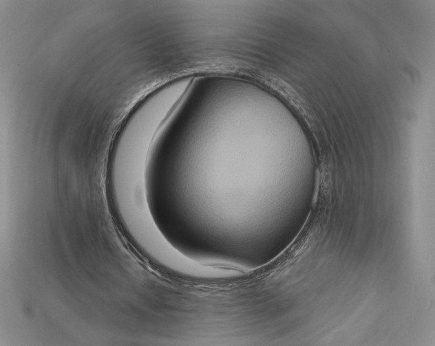 X0000115170434200911121743