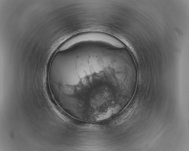 X0000115170437200911121743