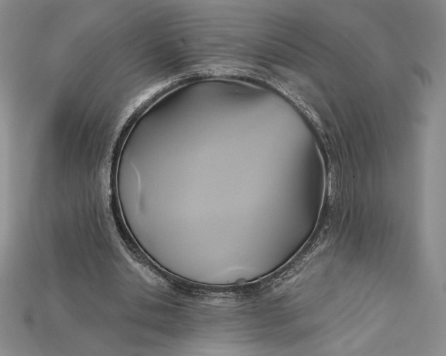X0000115170438200911121743
