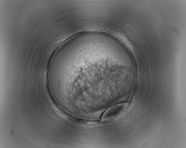 X0000115170441200911121743