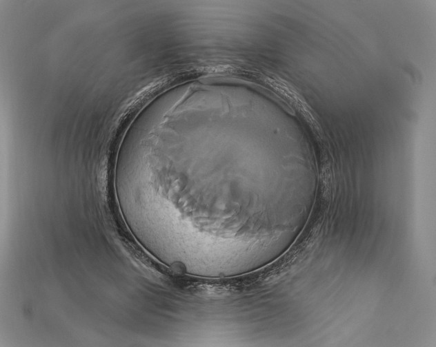 X0000115170442200911121743