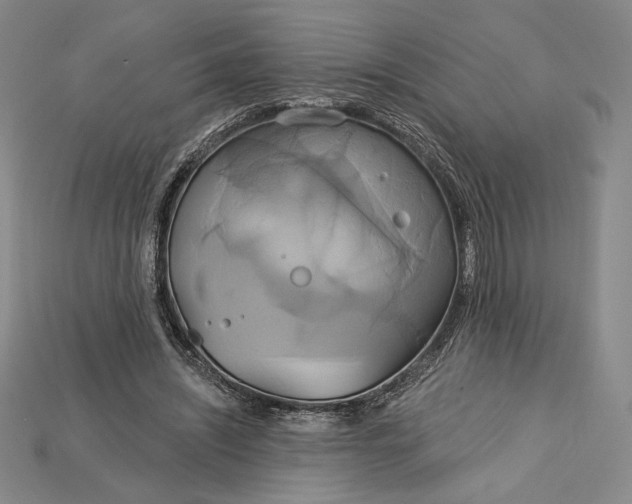 X0000115170444200911121743
