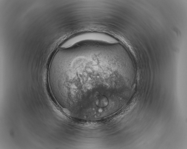 X0000115170445200911121743