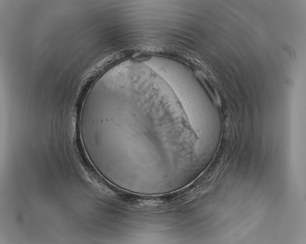 X0000115170446200911121743