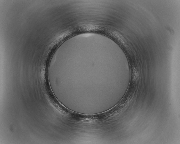 X0000115170447200911121743
