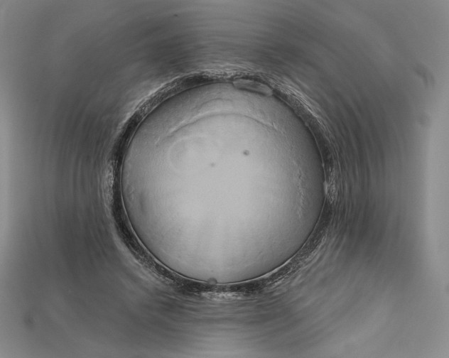 X0000115170448200911121743
