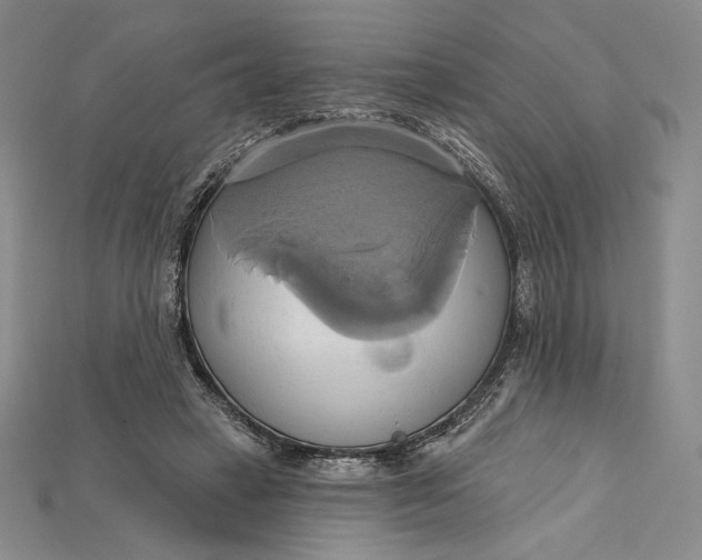 X0000115170449200911121743